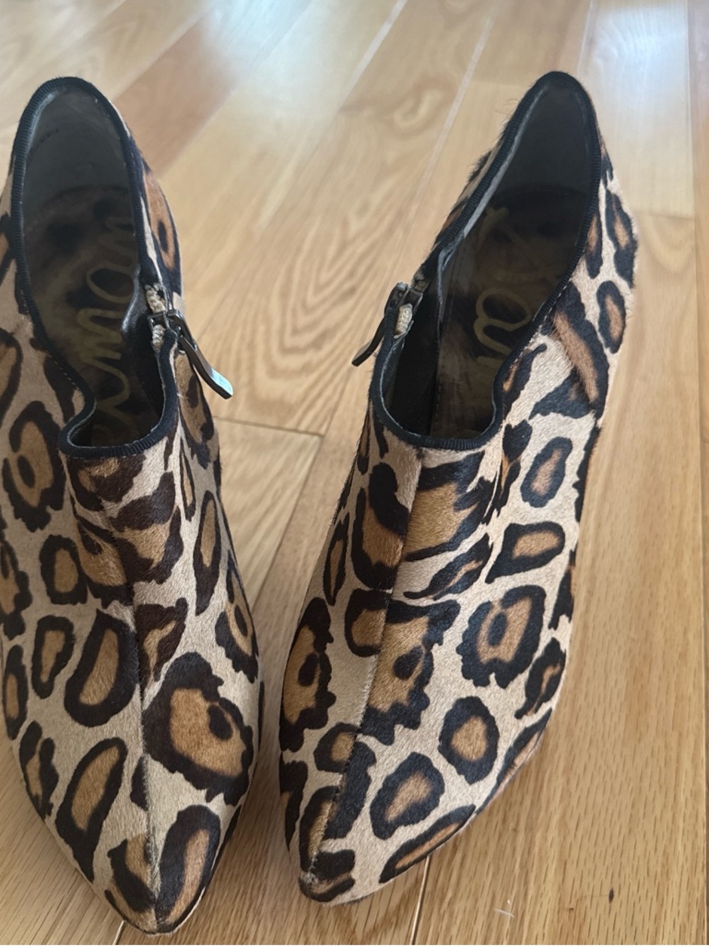 Sam Edelman Leopard Print Ankle Booties in Brown and Black